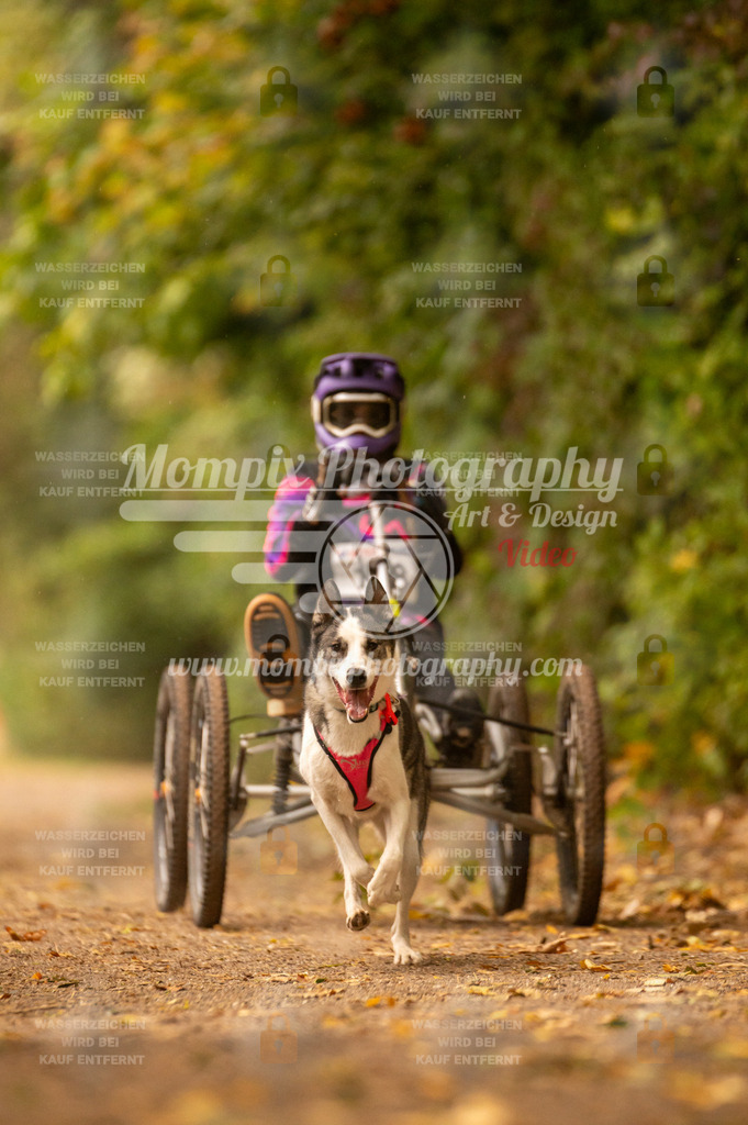 CDLBDB_14_10_2023_Samedi-224 | PayLife