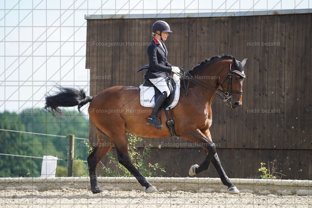 20230826-FAH06035 | Forstinning, 2023, Dressurturnier, Turniersportbilder, Turnierfotografen Bayern, Fotoagentur Herrmann, Reitsportfotografie, Turnierbilder