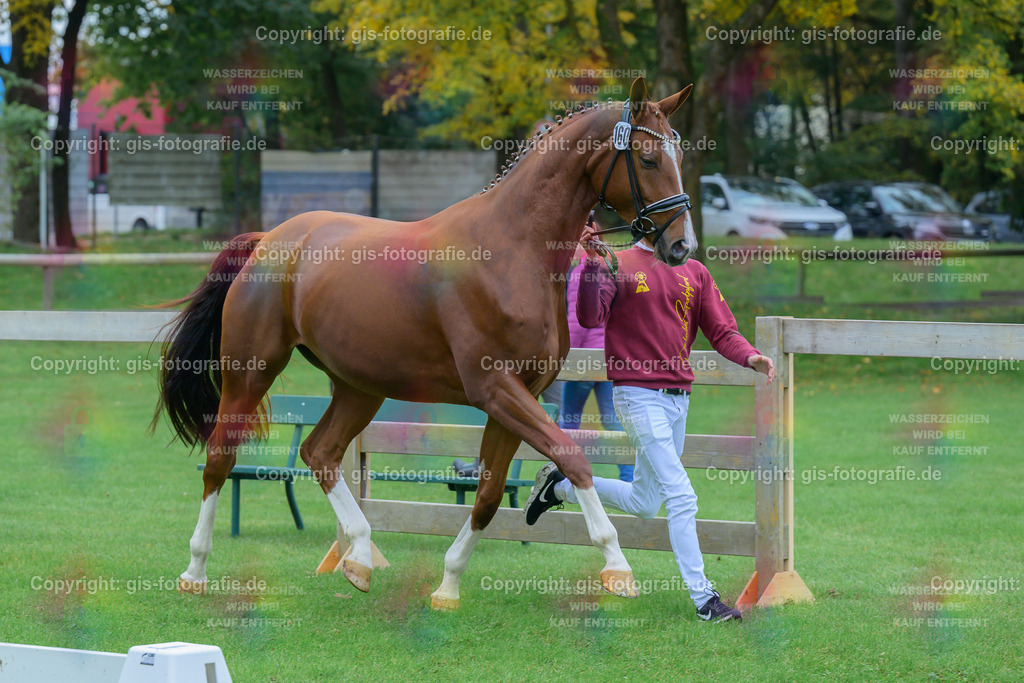 160_Winchester_v.Total-Diamond-PS_Schindele_251018_08_gis | gis-fotografie