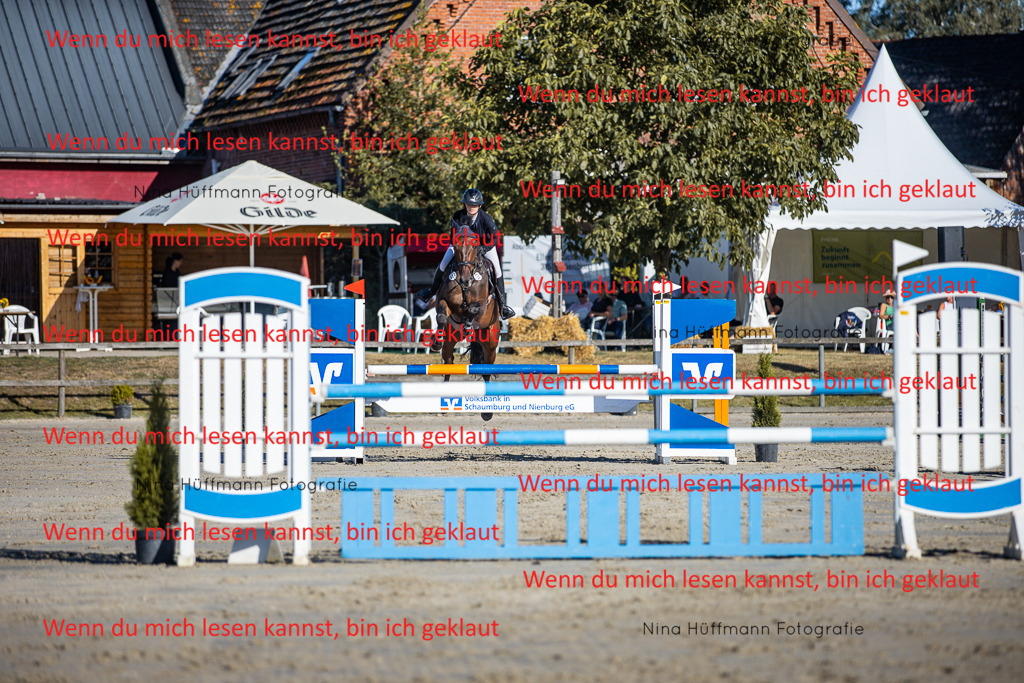BK1A6047 | Turnierbilder Turnierfotos Nina Hüffmann Turnierfotografie Pferdefotografie Tierzeichnung Haustierzeichnung Pferdezeichnung Hundezeichnung Videograf  - Realisiert mit Pictrs.com
