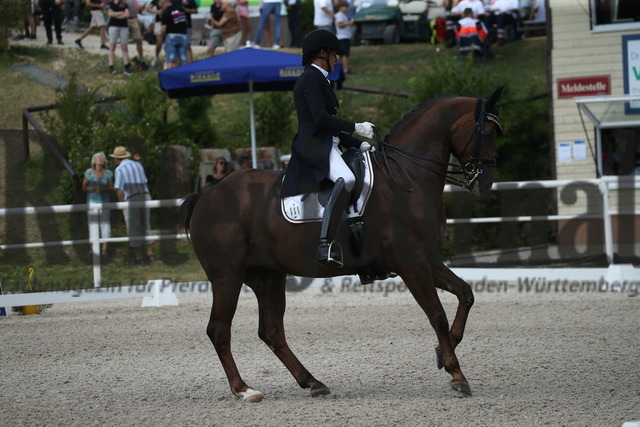 Birkhof_2022_GrandPrixSpecial_Martina Steisslinger_Favory A.S (10) | Alle Fotos der Reiterjournal Fotografin Doris Matthaes im Reiterjournal Online-Fotoshop. - Realisiert mit Pictrs.com