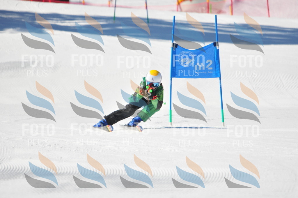 C3223 | holidayphoto