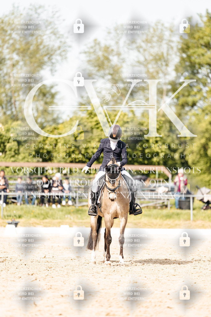 CK900383 | Turnierfotografie Pferdefotografie Trier Rheinland-Pfalz Pferdesport Reitsport Tierfotografie Sportfotografie Pferdevideo Pferdevideografie Equestrianvideography equestrianphotography  - Realisiert mit Pictrs.com