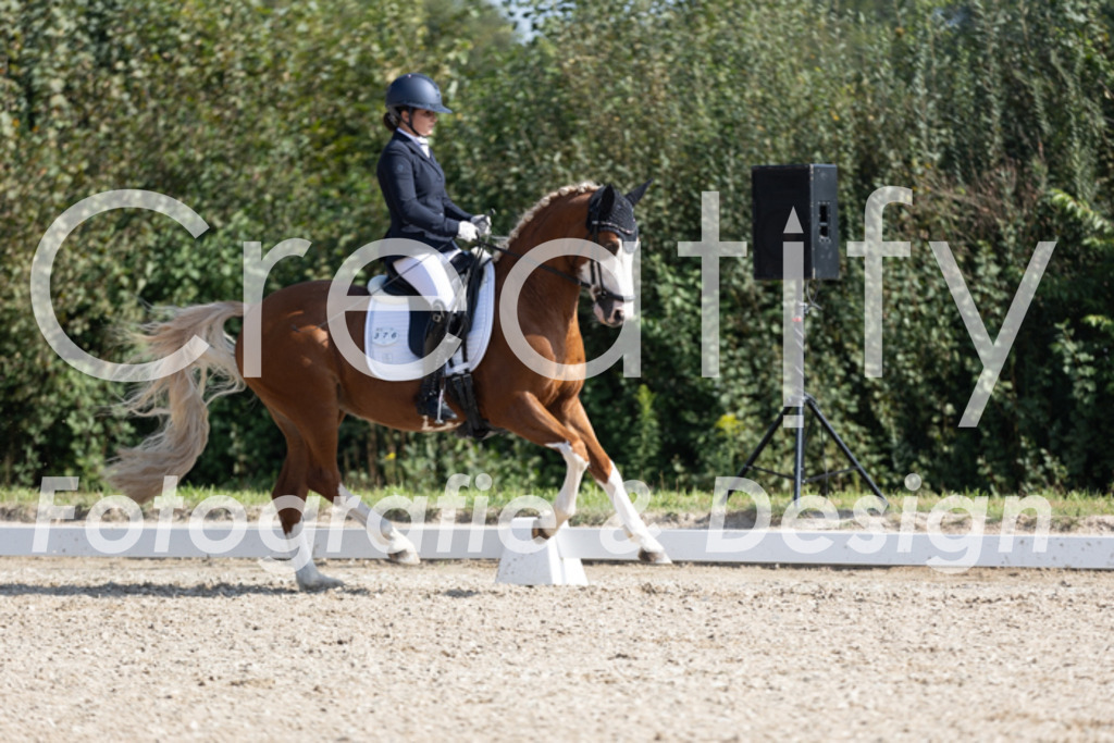 IMG_3005 | Creatify Fotografie