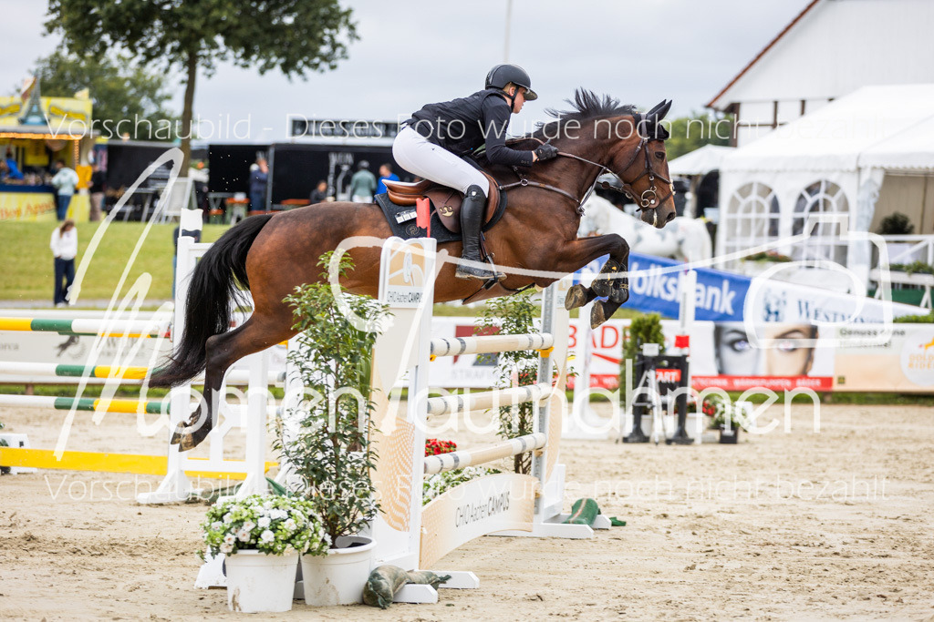 BHO-2PhSpr-M-5-2361 | MomenTaufnahmen Pferdesportfotos