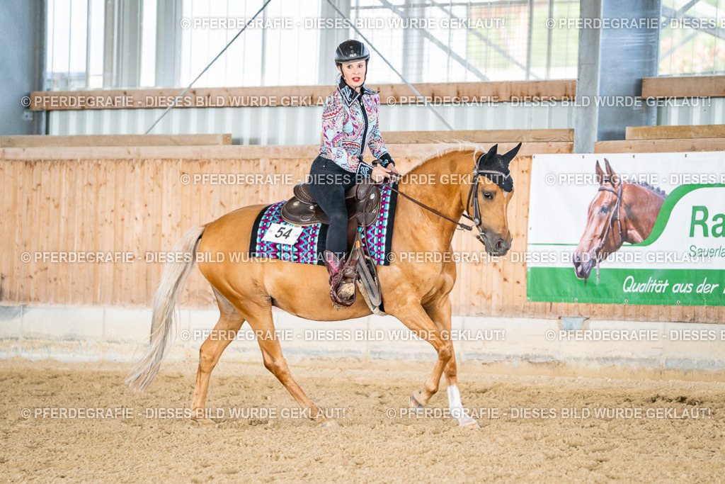 DSC08961 | Pferdegrafie