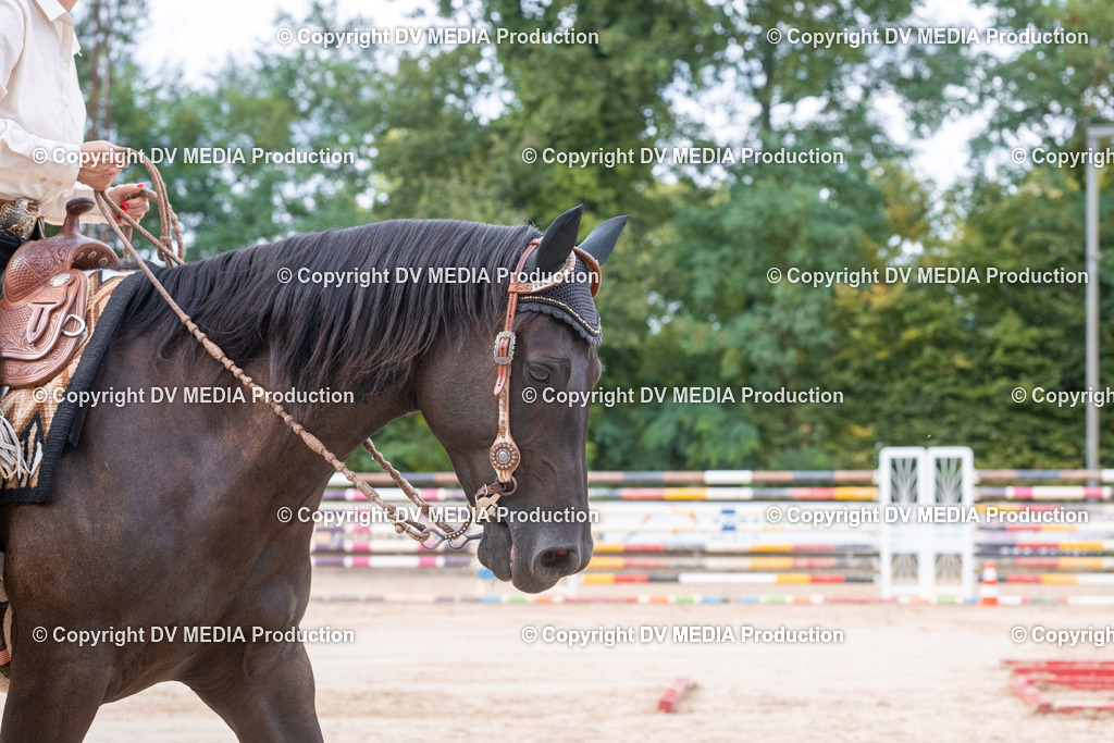 ZS3_5606 | dv-media-shop - Realisiert mit Pictrs.com