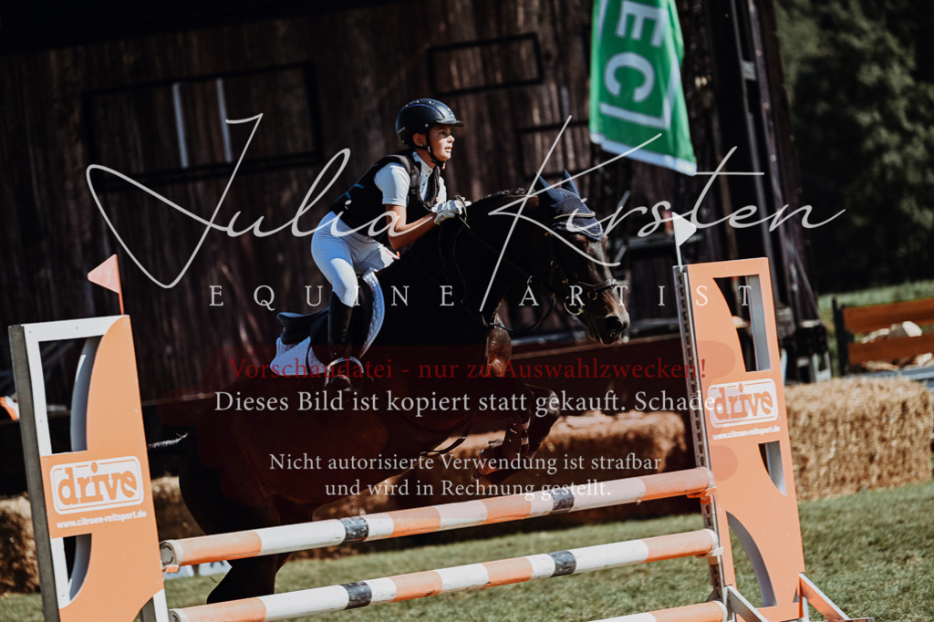 DSC_6782 | Pferde- und Turnierfotografie in Westsachsen. Pferdeportraits, Auftragszeichnungen und intuitive Kunst.