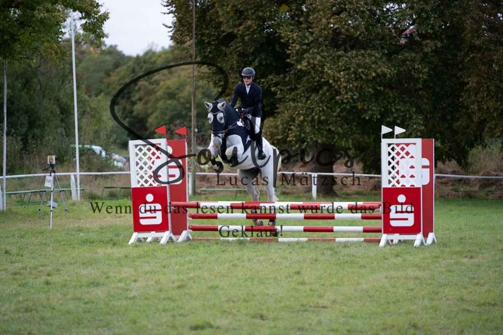 A7V06424 | Pferdefotograf