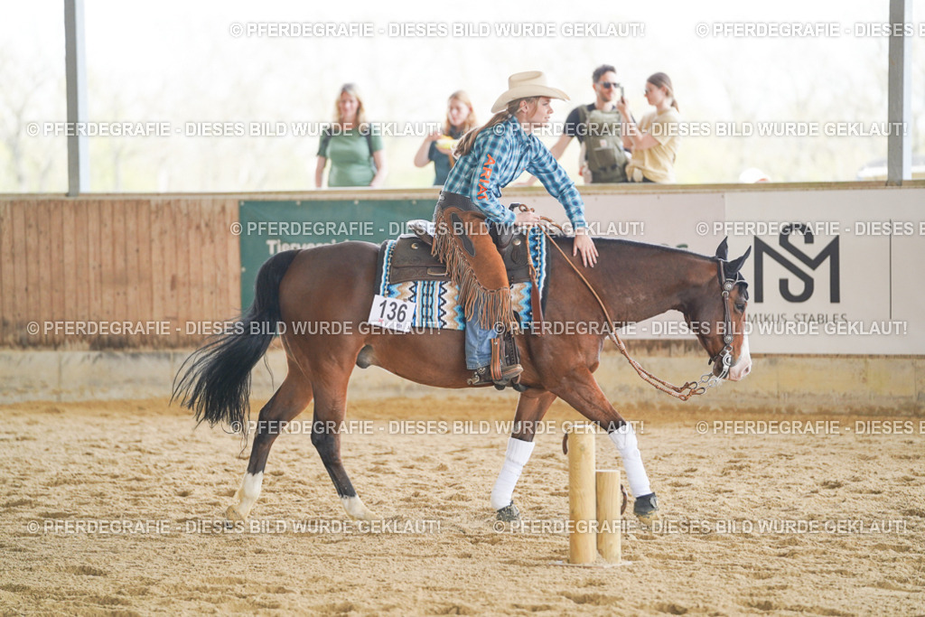 DSC02793 | Pferdegrafie