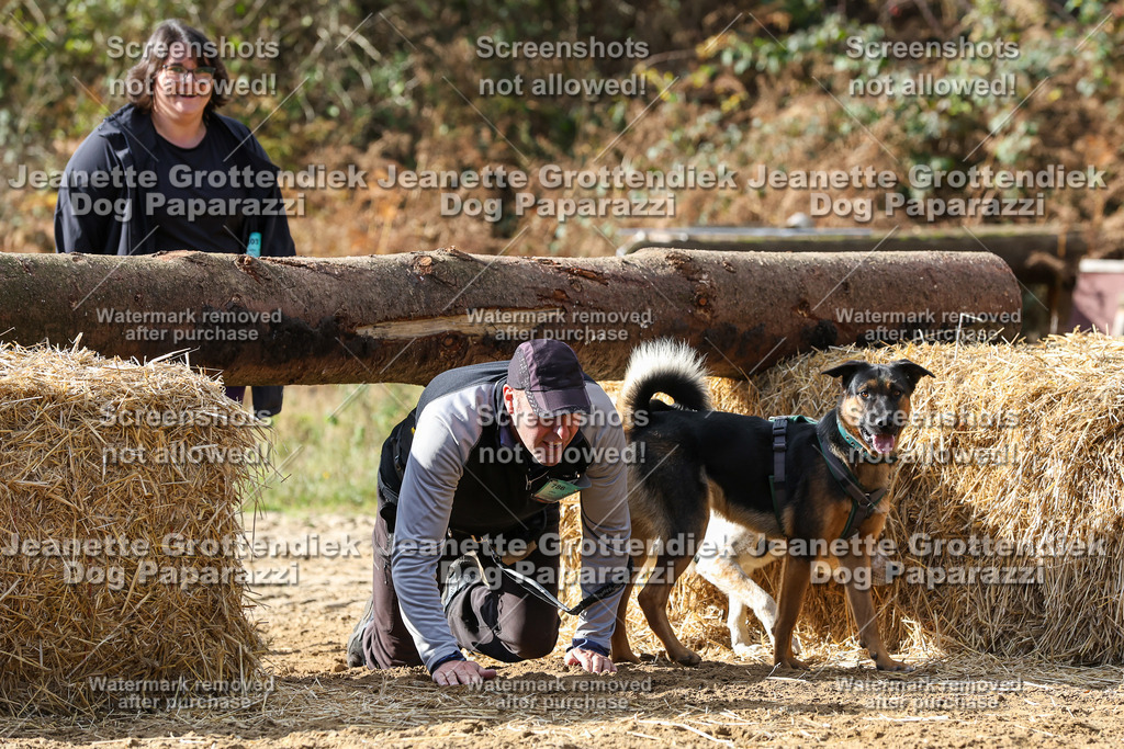 Dog Paparazzi - Strongdog 10-25-5129 | Dog Paparazzi Jeanette Grottendiek Fotografie & Videografie - Realisiert mit Pictrs.com