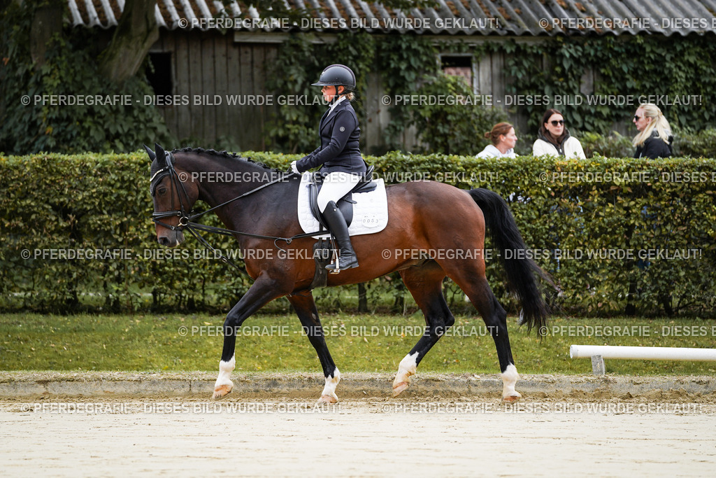 DSC04358 | Pferdegrafie