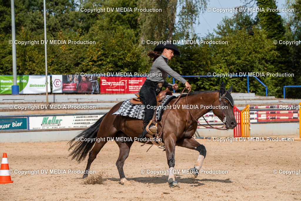 EWP_5921 | dv-media-shop - Realisiert mit Pictrs.com