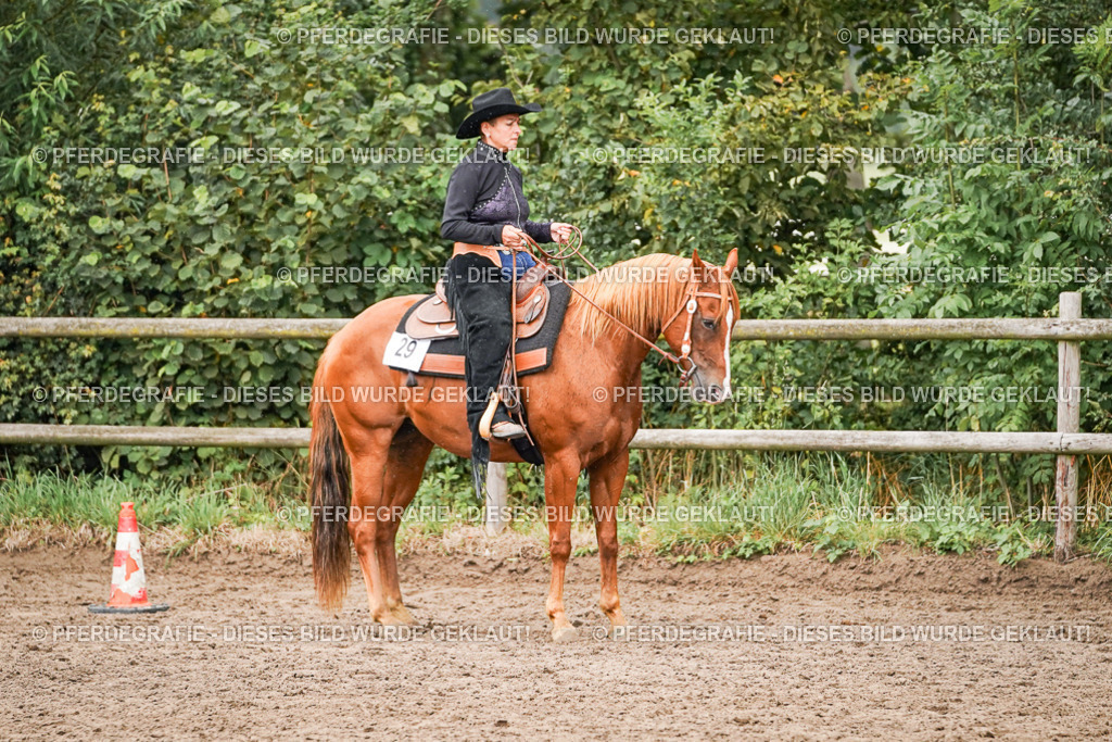 DSC05127 | Pferdegrafie