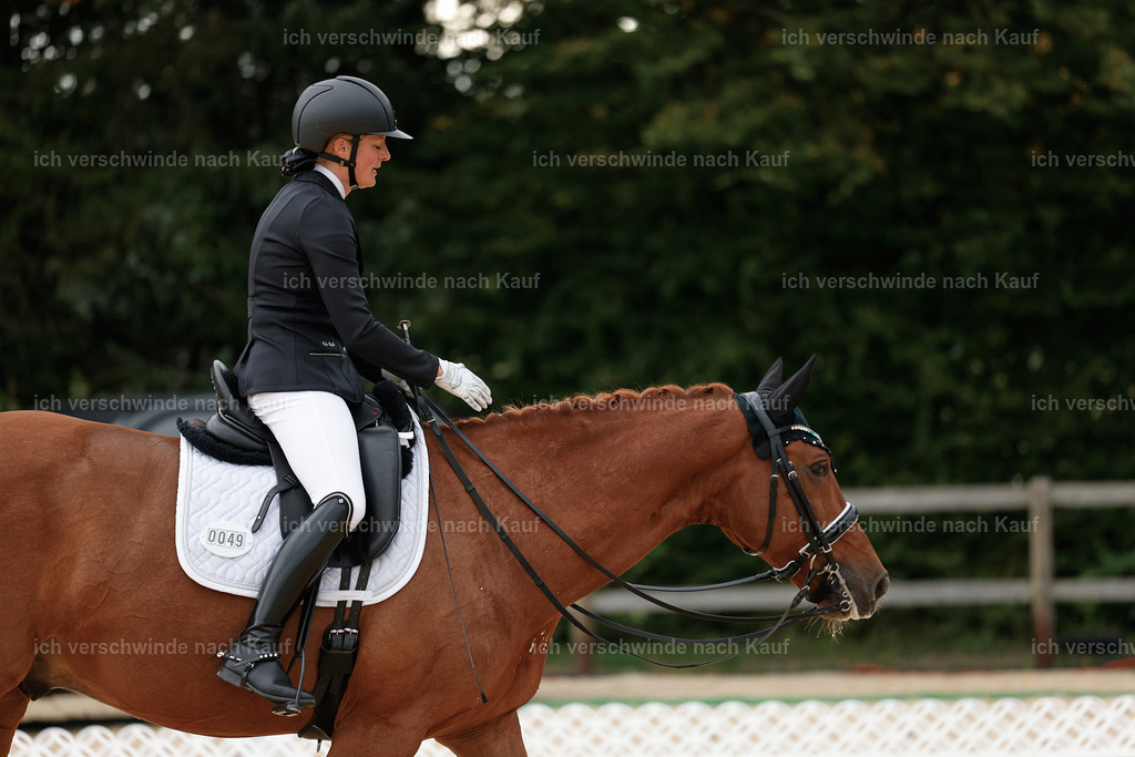 3-049-Dressur M_-StoibPH-2291 | working equitationturnier fotograf videograf stoibphotography marixx film working equitation deutschland reitsport turnierfotografie eventfotografie equestrian events