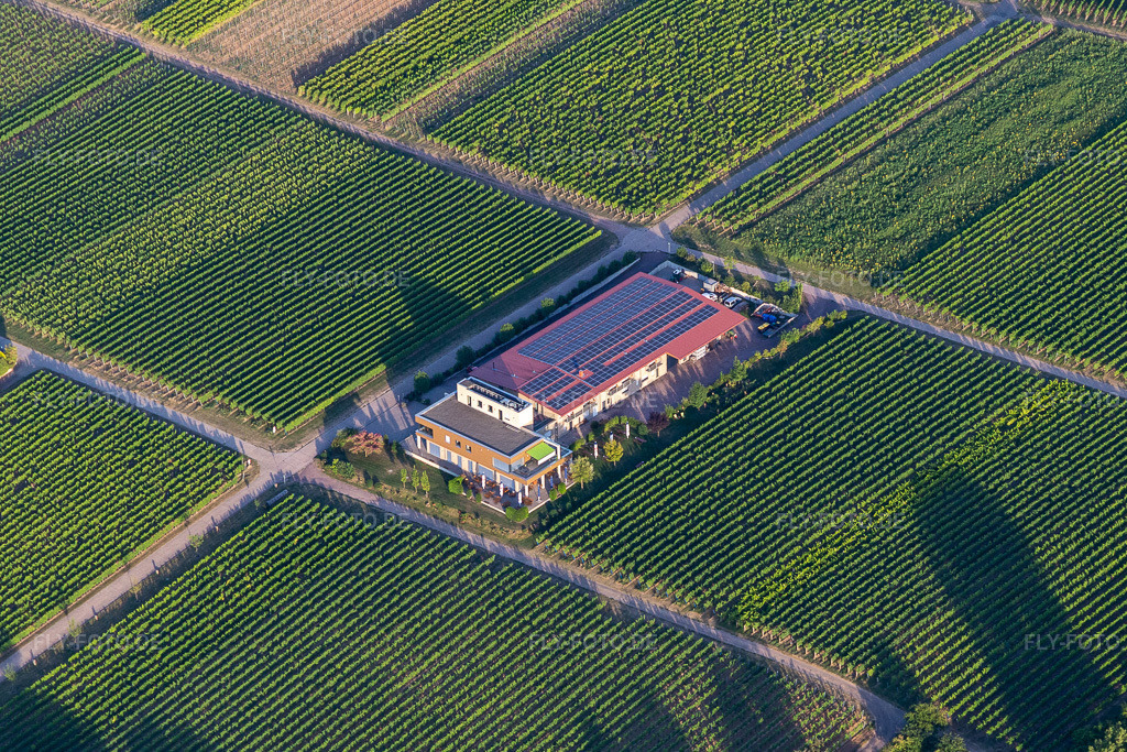 Luftbild: Weingut Vögeli im Ortsteil Wollmesheim in Landau im Bundesland Rheinland-Pfalz in Deutschland. Foto: IMG_133682.jpg vom 18.07.2022 durch Werner Riehm/FLY-FOTO.deWeingut Vögeli