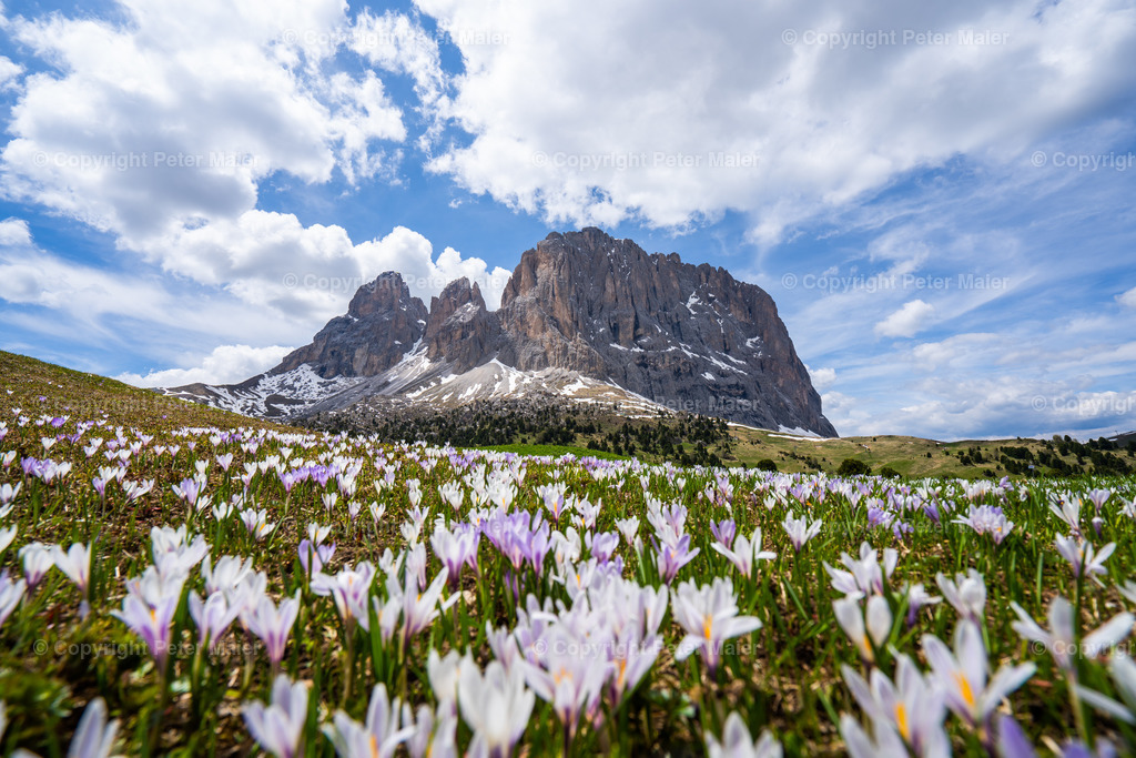 Langkofel-3 | piet_flosse