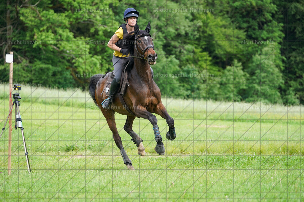 20240518-FAH04029 | Turnierbilder von Niederseon, Turnierfotografen Bayern, Fotoagentur Herrmann, Geländebilder, Reitsportfotografie