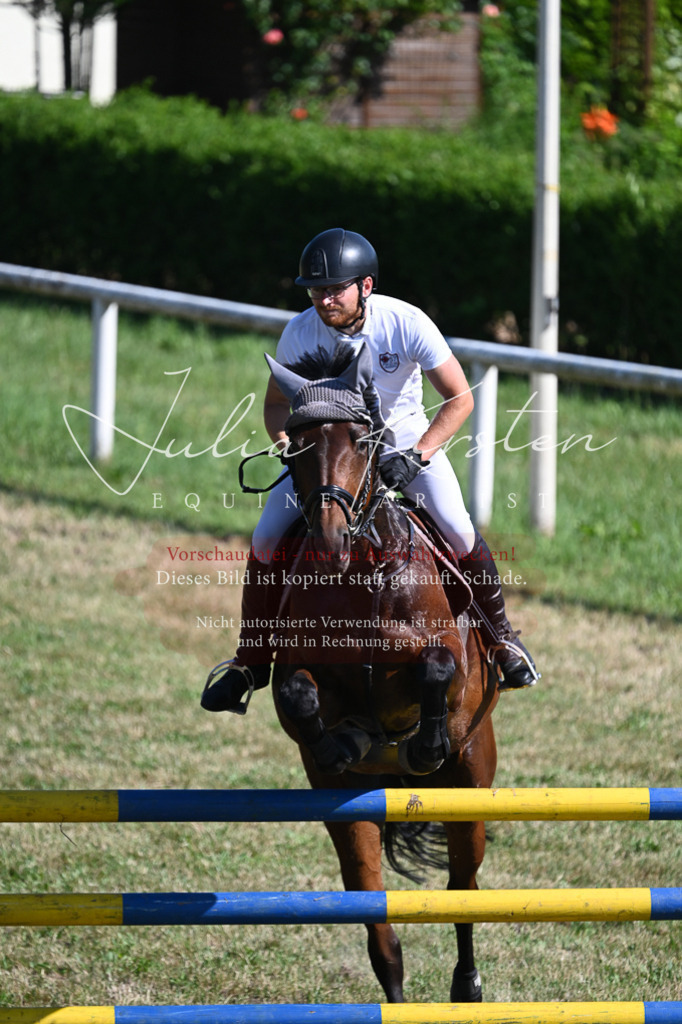 DSC_1937 | Pferde- und Turnierfotografie in Westsachsen. Pferdeportraits, Auftragszeichnungen und intuitive Kunst.