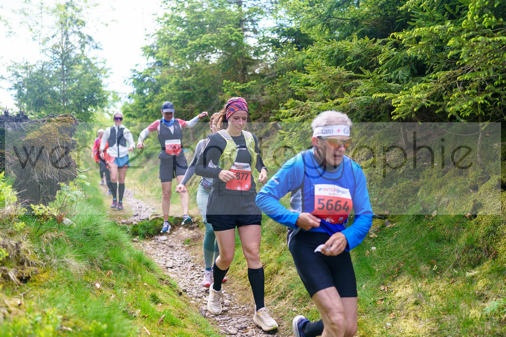 Rennsteiglauf Marathon 2025 | Marathon von Neuhaus/Rwg. nach Schmiedefeld/Rstg. am 17. Mai 2025