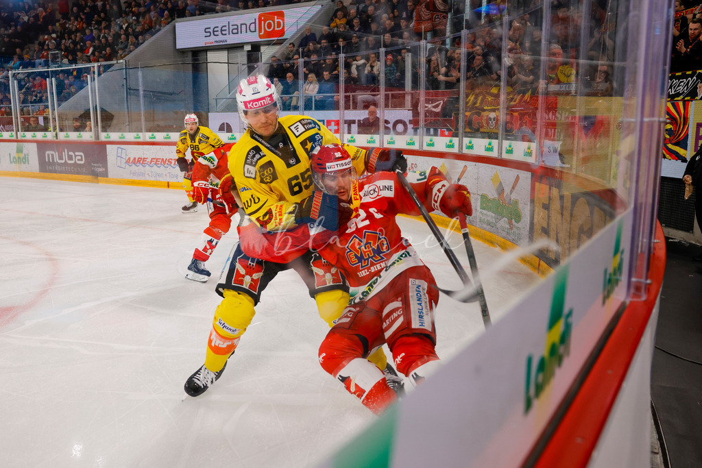 EHCB vs SCB 20260110_wb-3184 | Sportbilder, Sportfotograf, Hochzeits- und Eventfotografin, Flugshows, Portraits und Tiershooting, Aviation, Downhill, Nationalleague, Swissleague, International