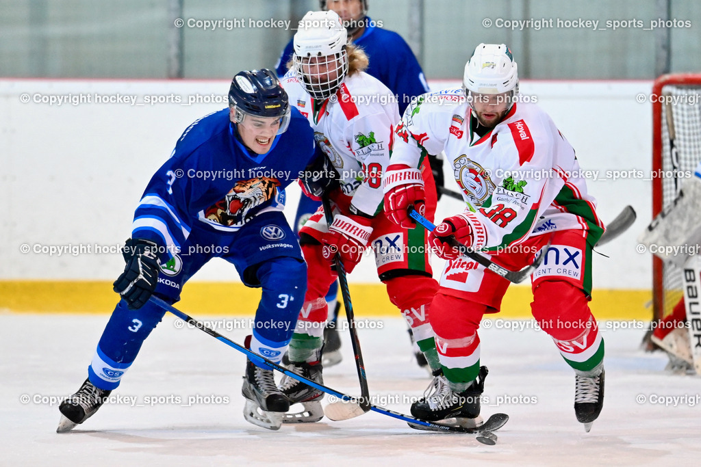 BST_9276 | hockey sports photos, Pressefotos, Sportfotos, hockey247, win 2day icehockeyleague, Handball Austria, Floorball Austria, ÖVV, Kärntner Eishockeyverband, KEHV, KFV, Kärntner Fussballverband, Österreichischer Volleyballverband, Alps Hockey League, ÖFB, 
