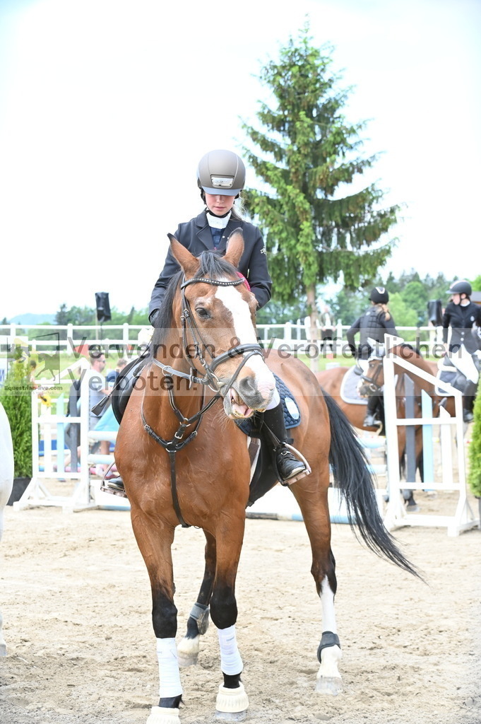 DSC_9313 | equestrian-live-com