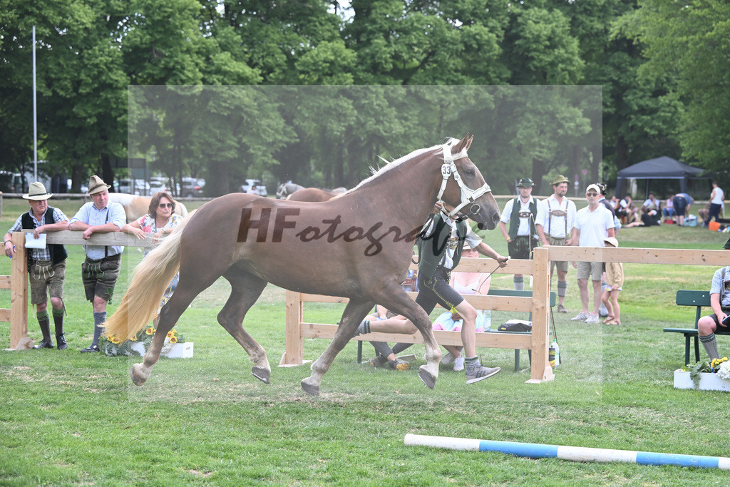 Kat-Nr. 33 Zara_Stadler_20230513 | hf-fotografie - Realisiert mit Pictrs.com
