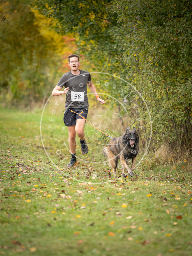 Pfotenfotografie_DV3A2601 | Hundefotografie, Tierfotograf, Pfotenfotografie, Fotoshooting Hund, Hunde Portrait, Hundesport, Hundeportraits, Heideshooting, Hunde, Sportfotograf, Hundefotograf, Turnierhundsport, THS,  - Realisiert mit Pictrs.com