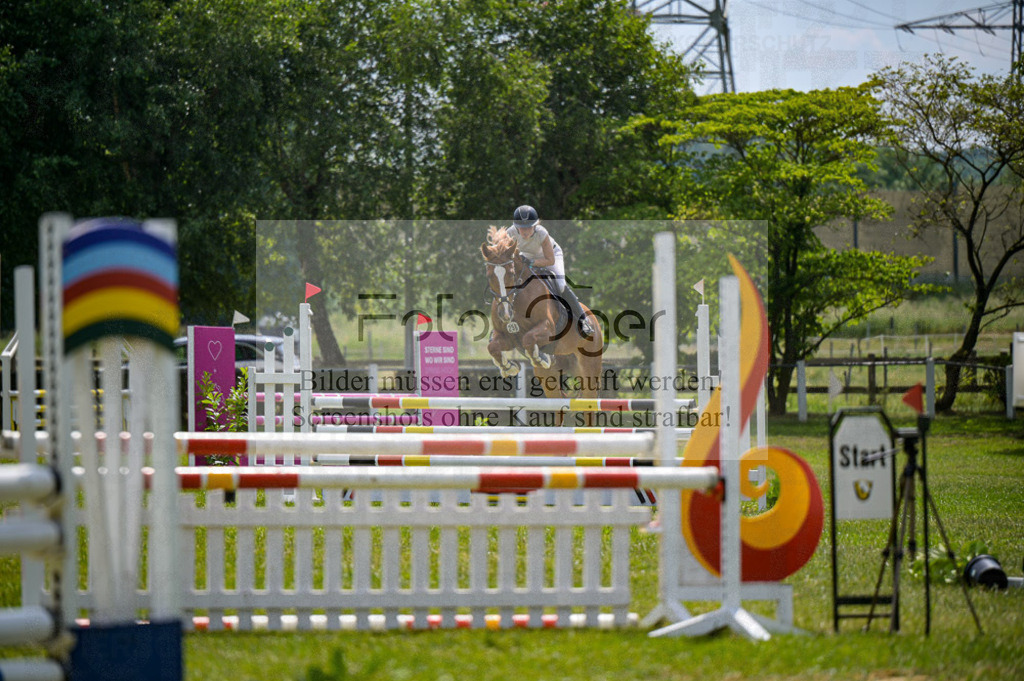 Reitturnier Voxtrup | Entdecke hochwertige Reitturnierfotos von Foto Oger. Professionell, emotional und authentisch – jetzt Lieblingsmomente im Shop bestellen. - Realisiert mit Pictrs.com