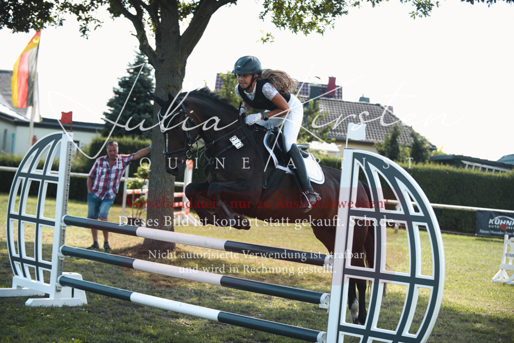 DSC_6960 | Pferde- und Turnierfotografie in Westsachsen. Pferdeportraits, Auftragszeichnungen und intuitive Kunst.