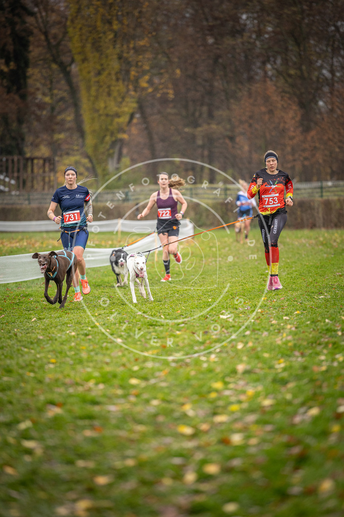 CaniXpix_DV3A9389 | Hundefotografie, Tierfotograf, Pfotenfotografie, Fotoshooting Hund, Hunde Portrait, Hundesport, Hundeportraits, Heideshooting, Hunde, Sportfotograf, Hundefotograf, Turnierhundsport, THS,  - Realisiert mit Pictrs.com