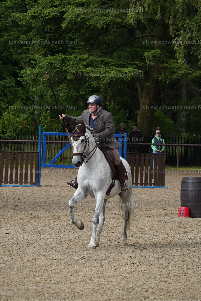 KlasseL_Lucie (3) | working equitationturnier fotograf videograf stoibphotography marixx film working equitation deutschland reitsport turnierfotografie eventfotografie equestrian events