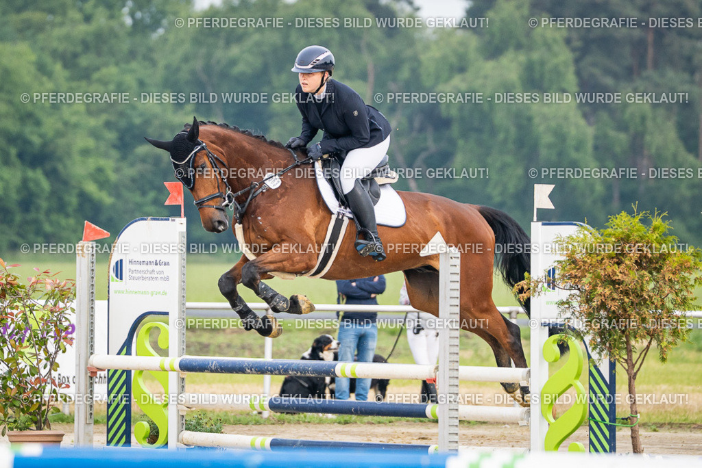 DSC08536 | Pferdegrafie