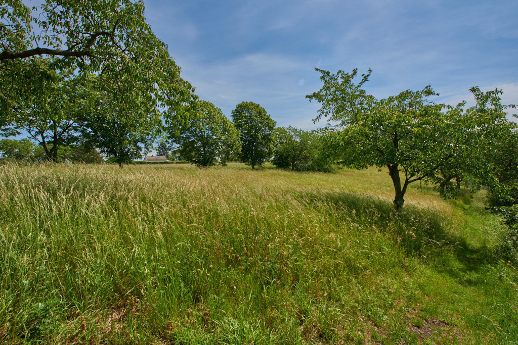 Auf dem Kanitzberg bei Burkhardswalde 03 | Bedeutsame Landschaften Deutschlands - Realisiert mit Pictrs.com