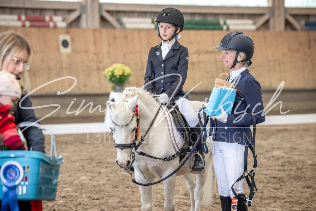 20251011-_3LI8757 | Tierfotografie Pferde, Hunde, Katzen, Haustiere.
Turnierfotografie Reitturniere, Reiten, Springreiten, Dressur in Hanau, dem Main-Kinzig-Kreis und dem Rhein-Main- Gebiet um Frankfurt