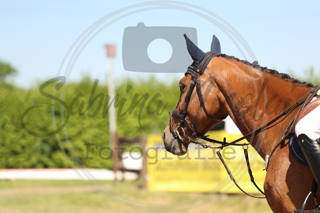 994A5819 | sabrinanicolaifotografie - Realisiert mit Pictrs.com