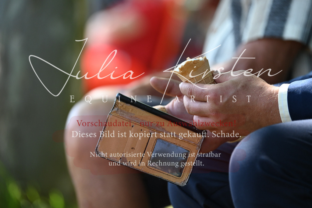 DSC_1807 | Pferde- und Turnierfotografie in Westsachsen. Pferdeportraits, Auftragszeichnungen und intuitive Kunst.