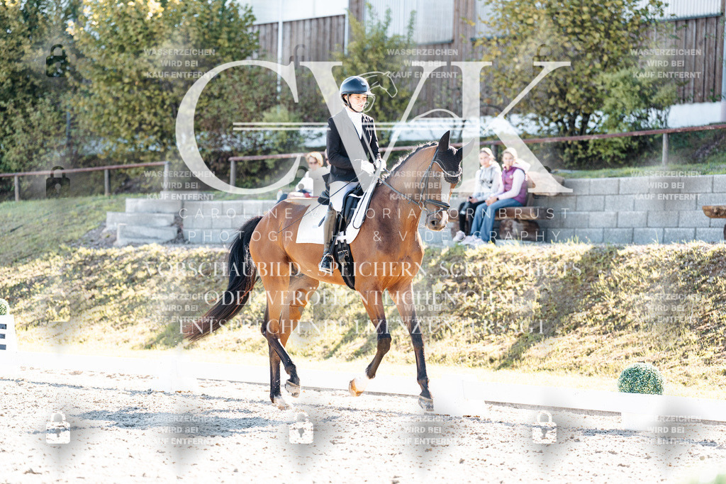 CK908654 | Turnierfotografie Pferdefotografie Trier Rheinland-Pfalz Pferdesport Reitsport Tierfotografie Sportfotografie Pferdevideo Pferdevideografie Equestrianvideography equestrianphotography  - Realisiert mit Pictrs.com
