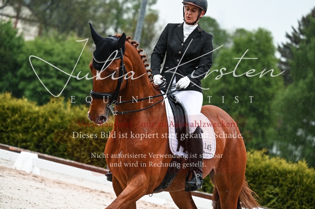 DSC_4432 | Pferde- und Turnierfotografie in Westsachsen. Pferdeportraits, Auftragszeichnungen und intuitive Kunst.