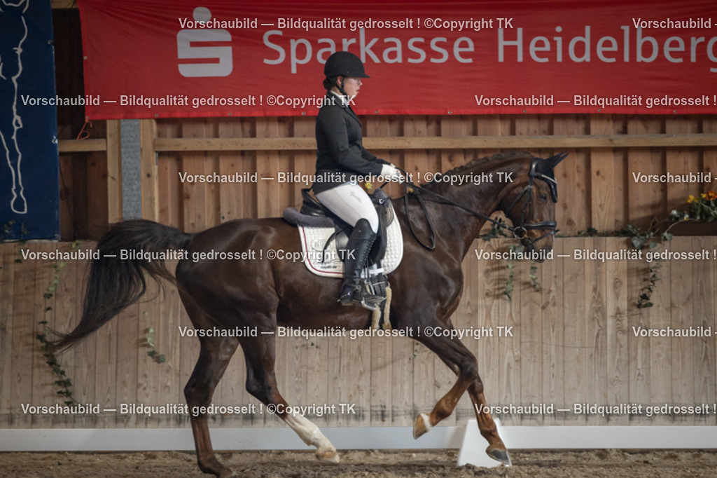 _D5A4452 | Emotionale Pferde- & People-Fotografie rund um Heidelberg, Leimen & Umgebung. Natürliche Fotos von Pferd, Mensch & Familie. Jetzt Termin sichern!