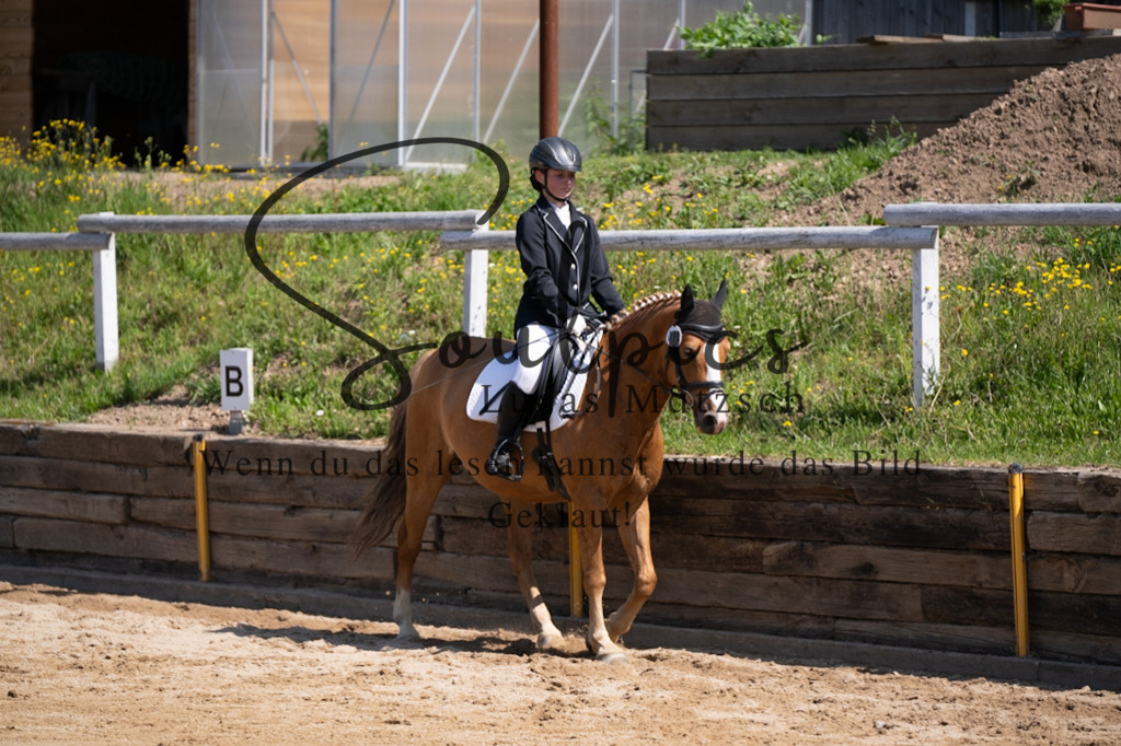 A7V07929 | Pferdefotograf