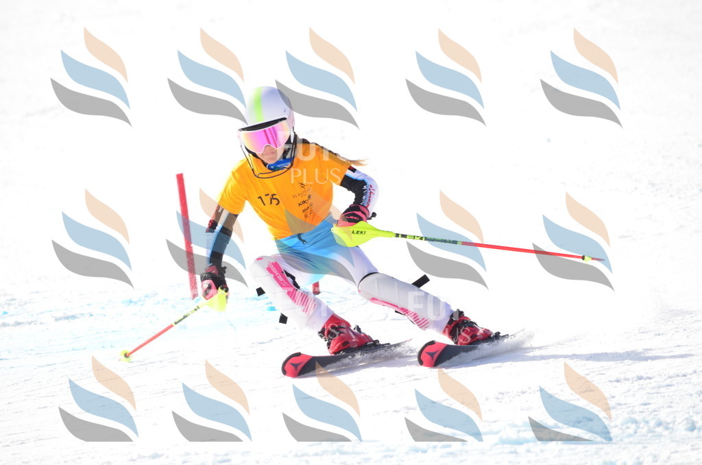 C7939 | holidayphoto