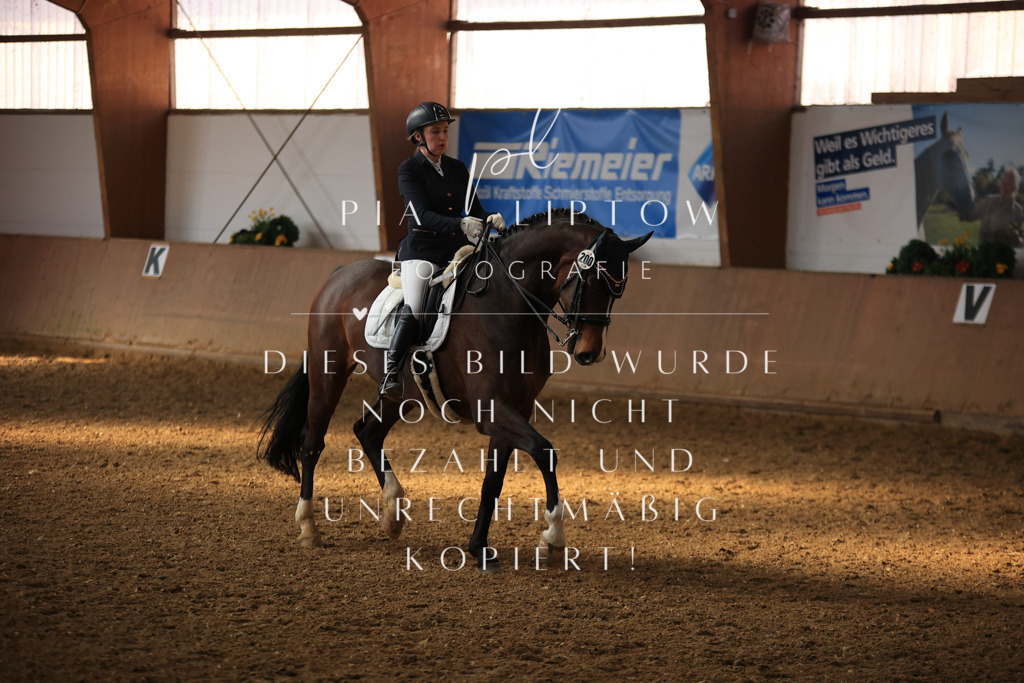 IMGT2065 | pl-fotografie