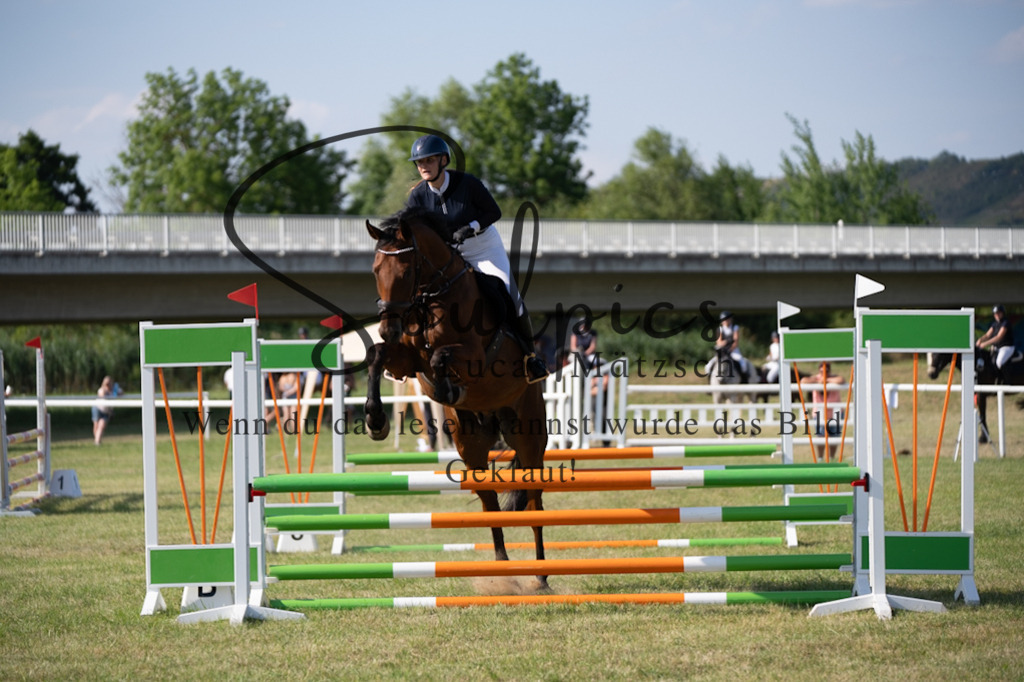 A7V00699 | Pferdefotograf