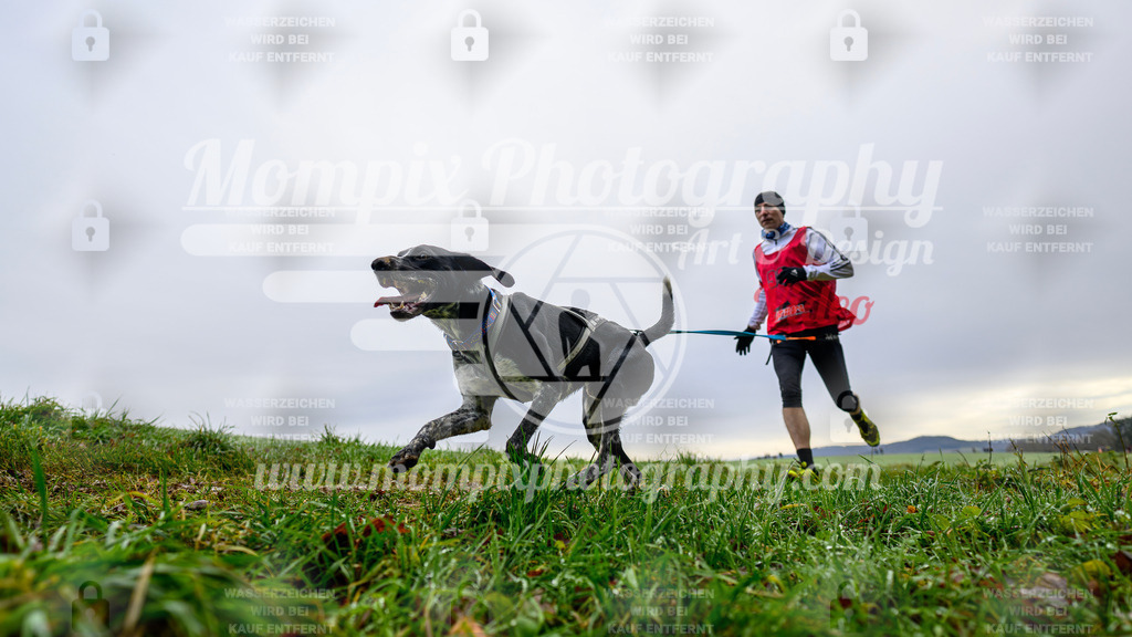 MompixPhotography_Staufertrail2024_SO_Canicross-19 | PayLife