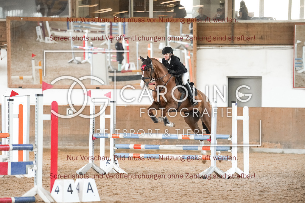 DSC09880 | Reitturnier_Göppingen_April_2026, Merrit_Reiniger, Central_Fox