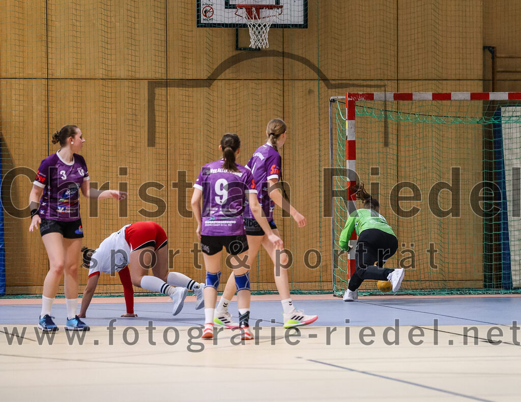 2024-10-13_044_SpVgg_Altenerding_gegen_SC_Freising | Erding, Deutschland, 13.10.2024:Handball, Bezirksoberliga Frauen Altbayern 2024 / 2024, 3. Spieltag, SpVgg Altenerding gegen SC Freising, Endergebnis: 26:35Foto: Christian Riedel / fotografie-riedel.net