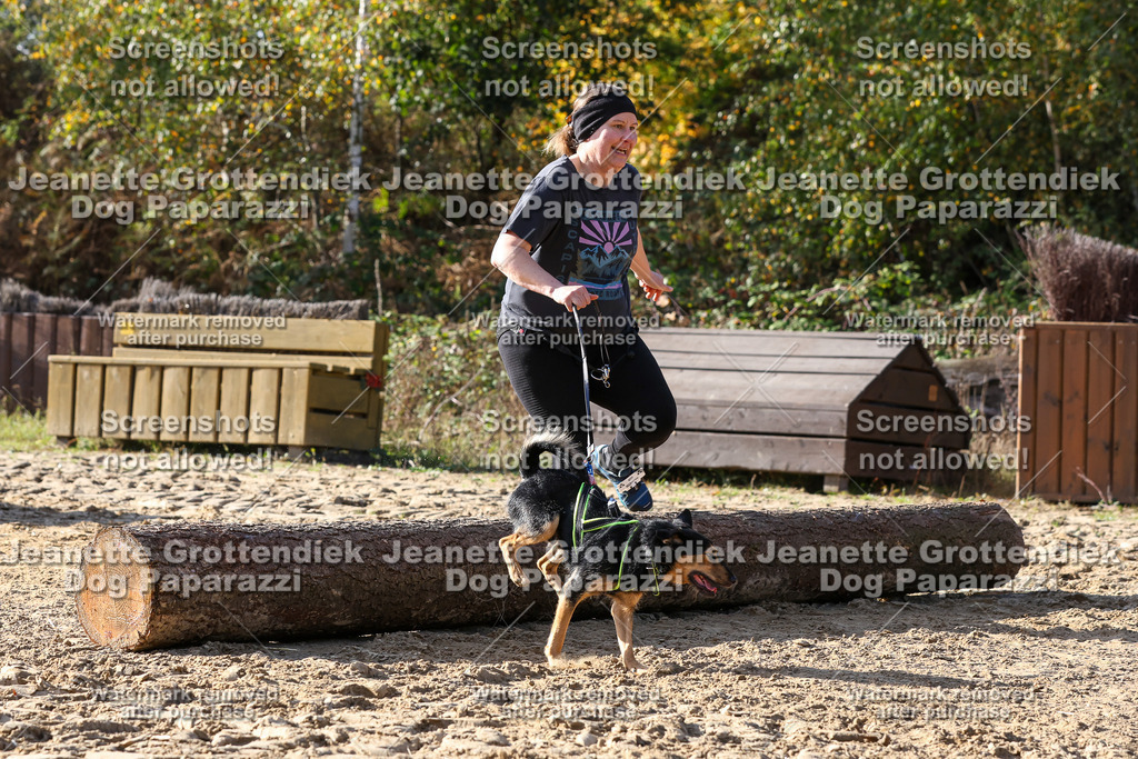 Dog Paparazzi - Strongdog 10-25-5980 | Dog Paparazzi Jeanette Grottendiek Fotografie & Videografie - Realisiert mit Pictrs.com