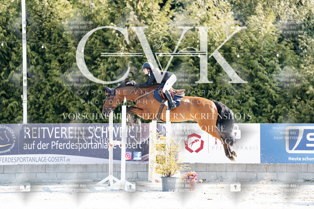 CK901699 | Turnierfotografie Pferdefotografie Trier Rheinland-Pfalz Pferdesport Reitsport Tierfotografie Sportfotografie Pferdevideo Pferdevideografie Equestrianvideography equestrianphotography  - Realisiert mit Pictrs.com